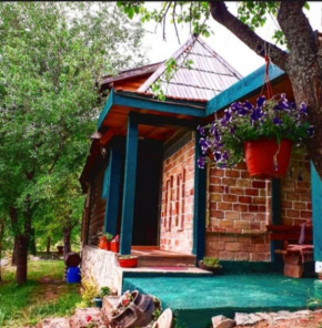 Chalet Etno Oaza near Airport